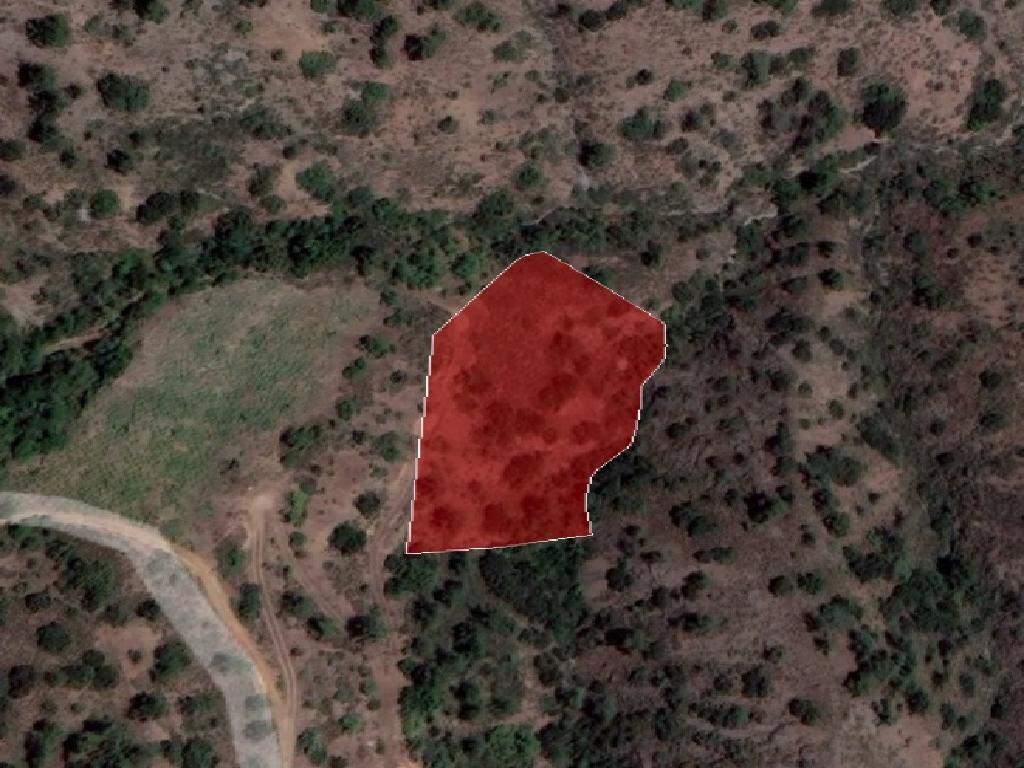 Field-Fterikoudi-PR36522
