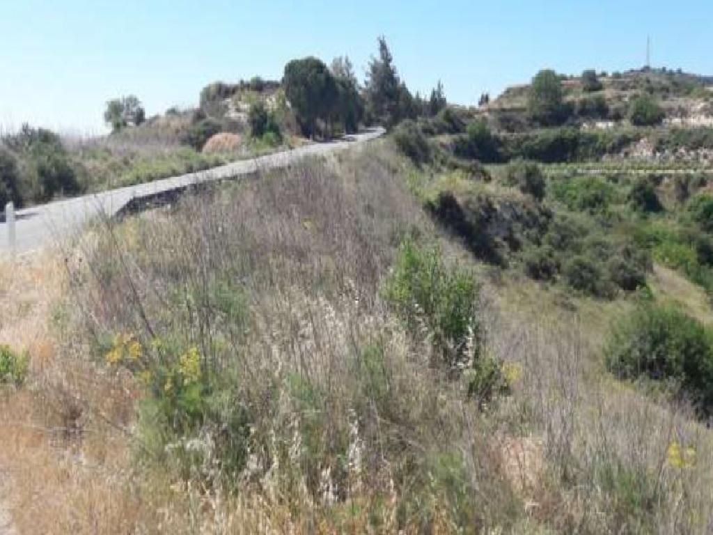 Field-Pachna-PR36966
