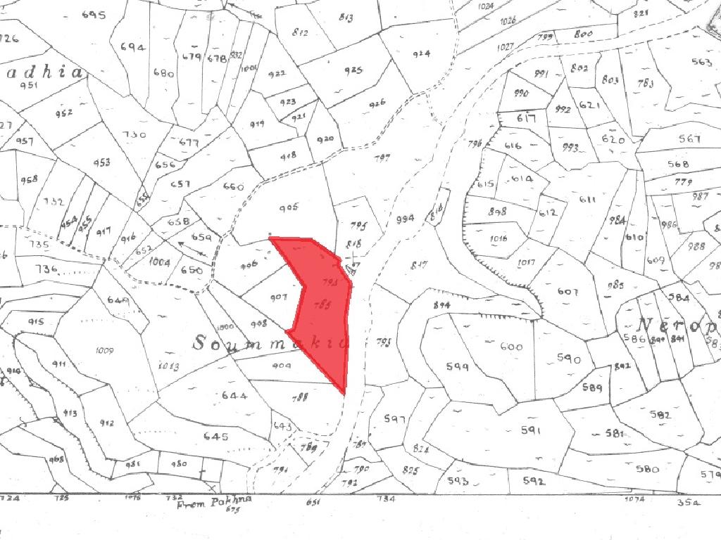 Field-Pachna-PR36966