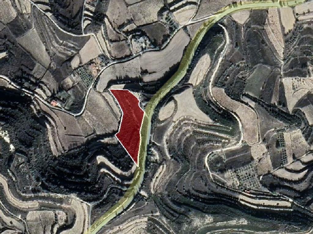 Field-Pachna-PR36966
