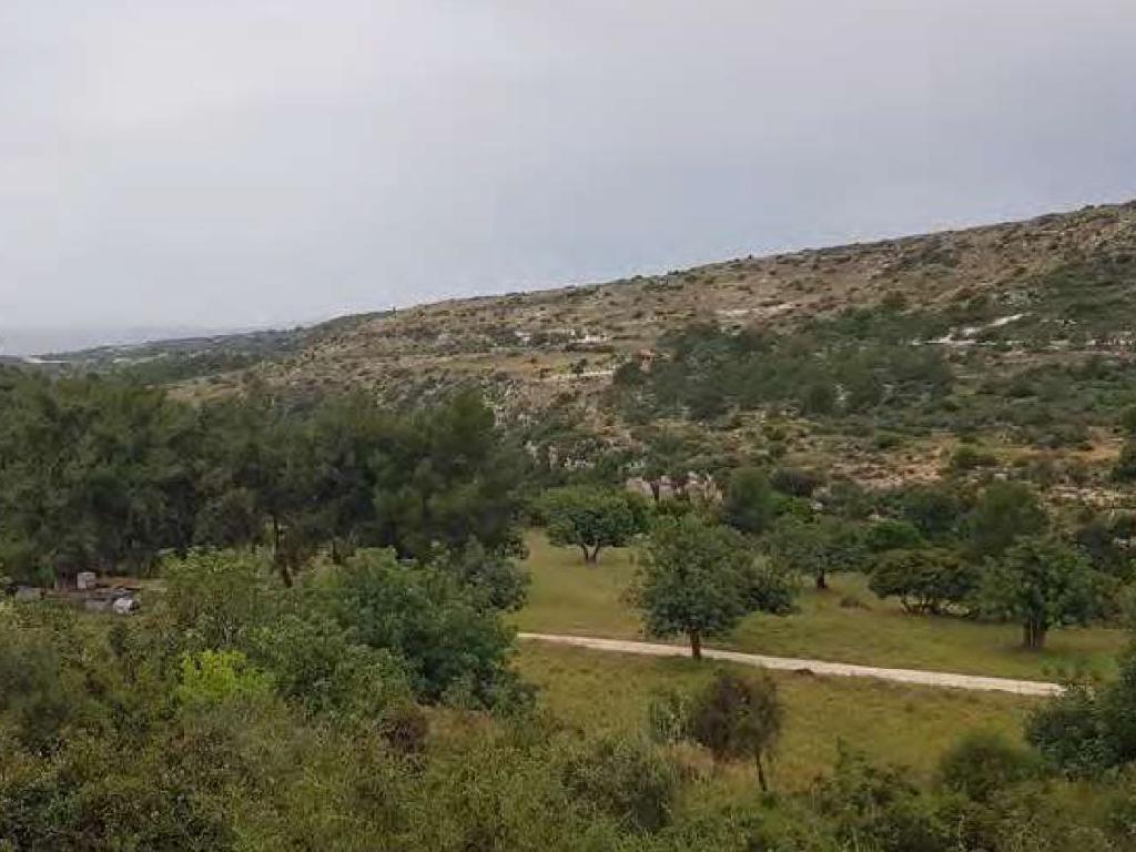 Field-Pano Kivides-PR38085