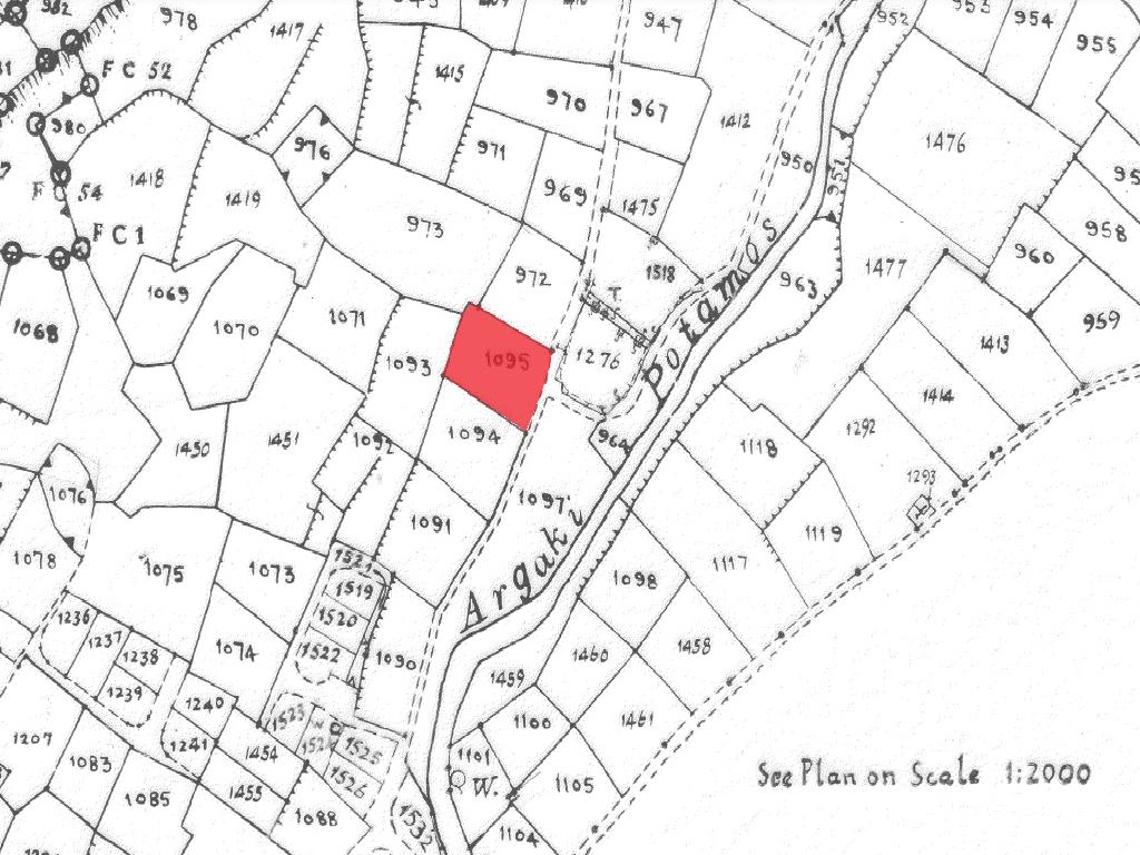 Field-Pera-PR38587