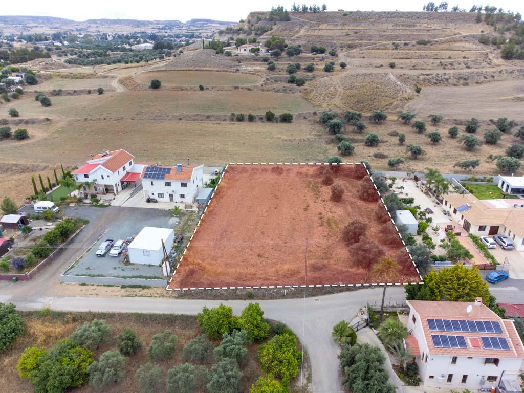 Field-Pera-PR38587