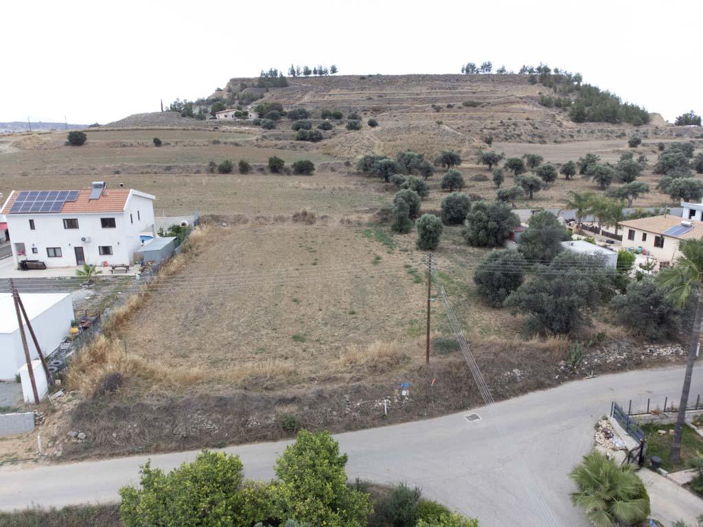 Field-Pera-PR38587