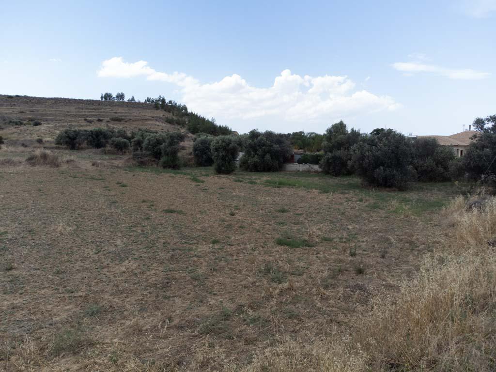 Field-Pera-PR38587