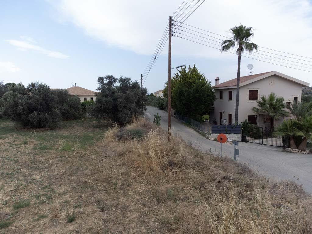 Field-Pera-PR38587