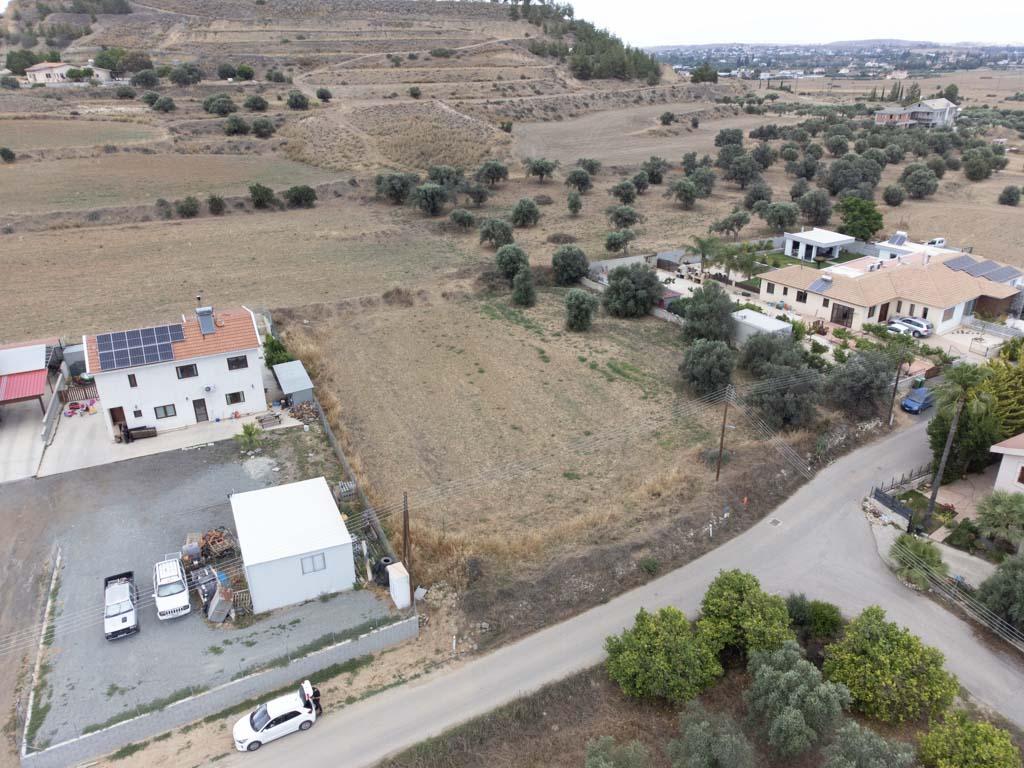 Field-Pera-PR38587
