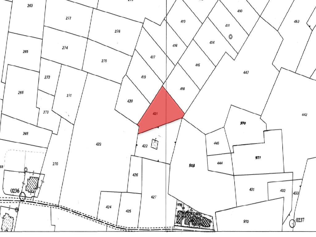 Field-Paralimni-PR38747