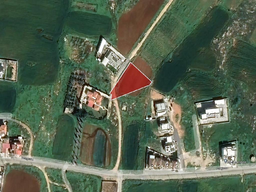 Field-Paralimni-PR38747