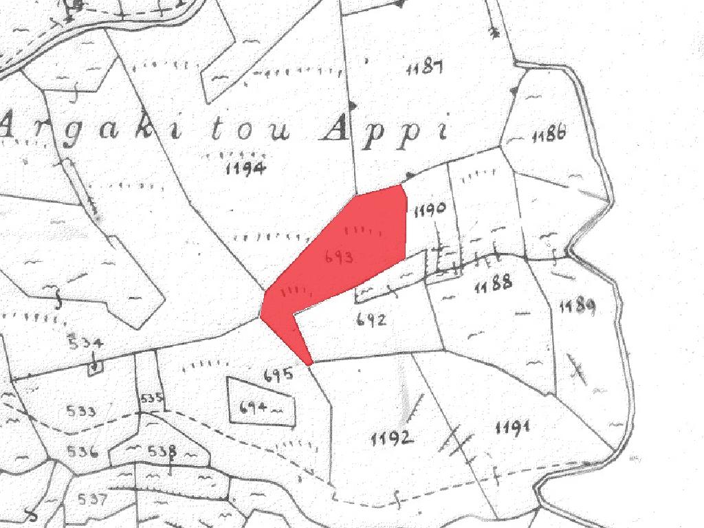 Field-Palaichori Orinis-PR40249
