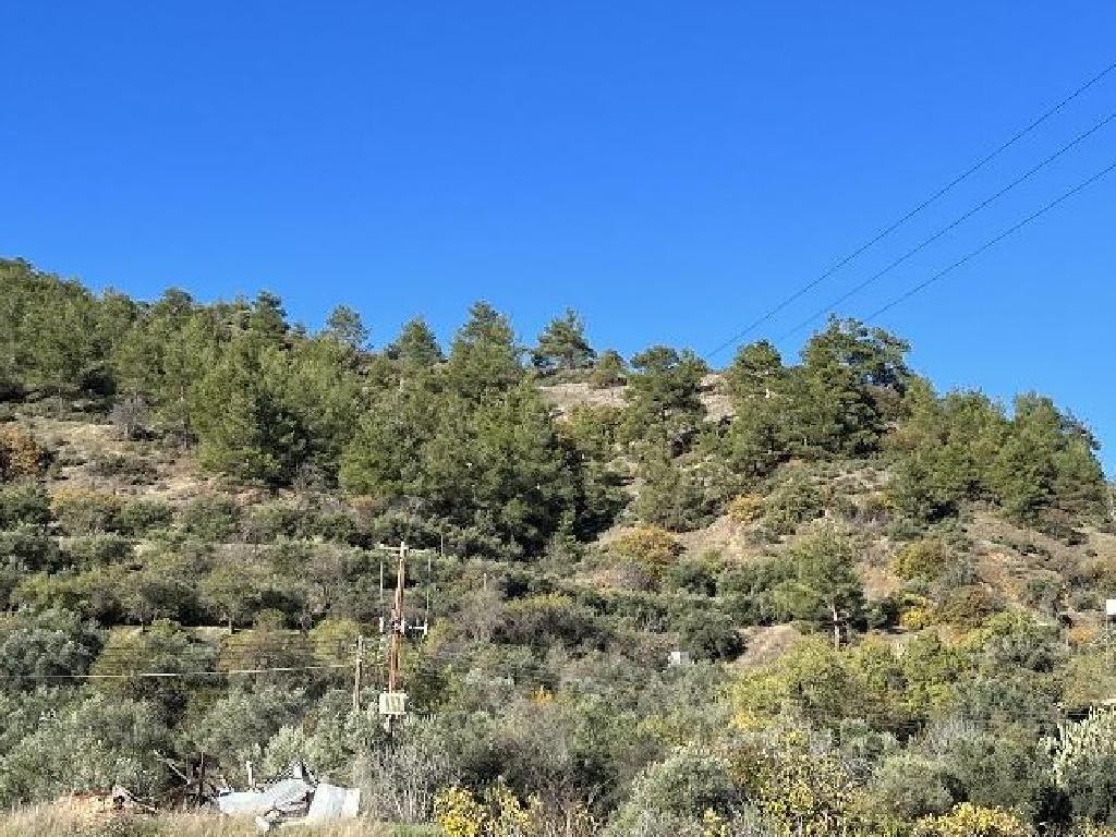 Field-Palaichori Orinis-PR40249