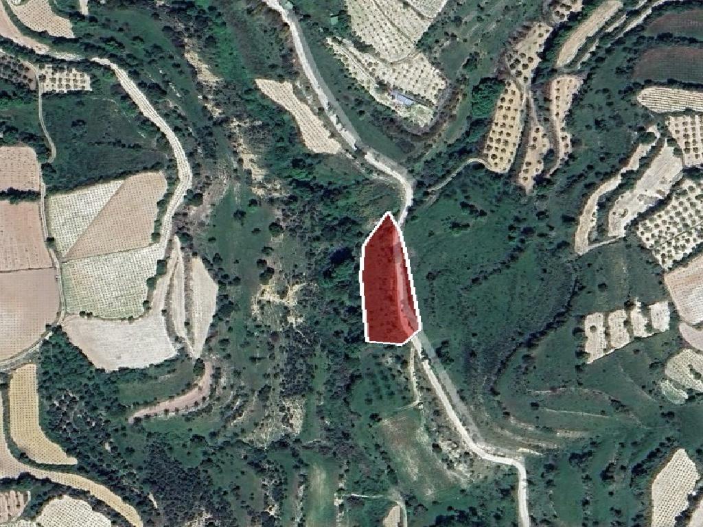 Field-Letymvou-PR40769
