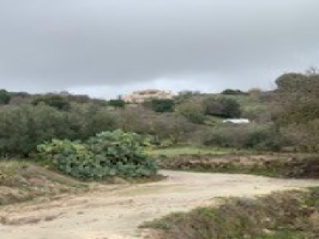 Field-Letymvou-PR40769