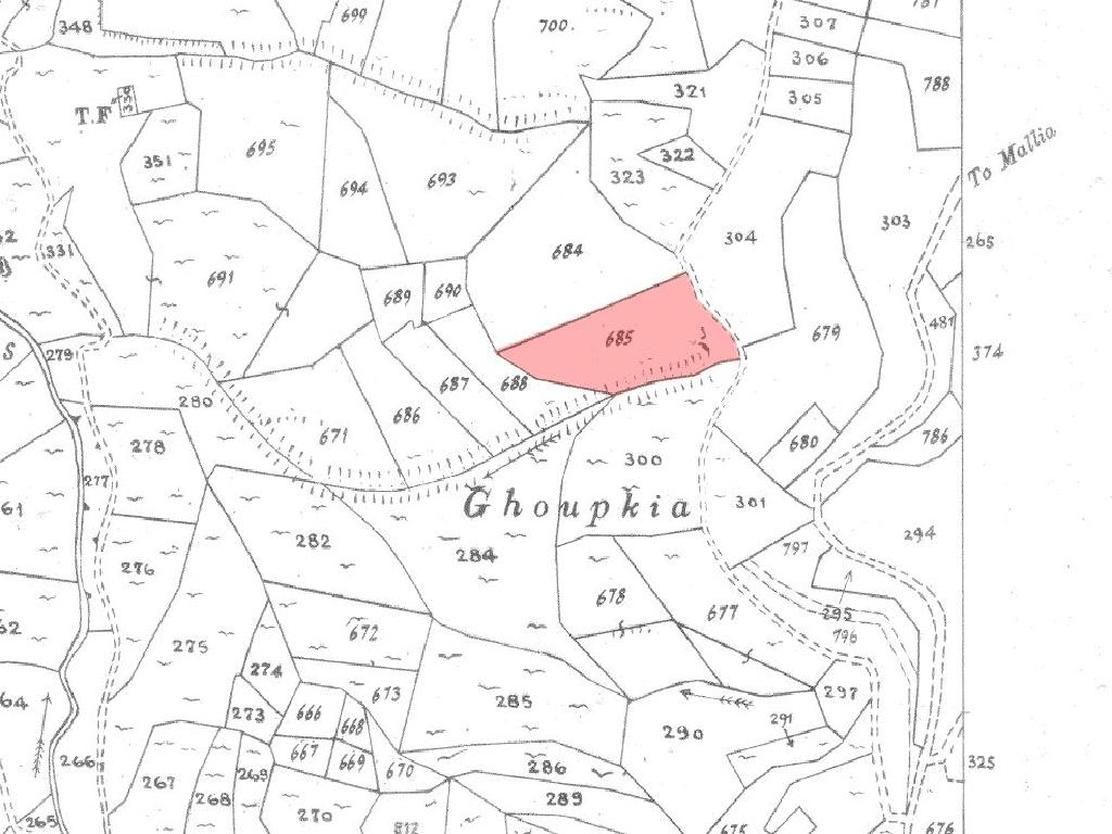 Field-Dora-PR41949