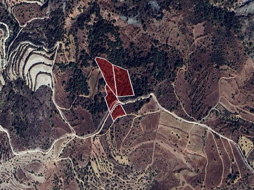 Field-Statos - Agios Fotios-CP10129