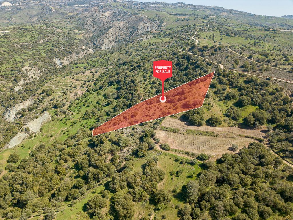Field-Statos - Agios Fotios-CP10129