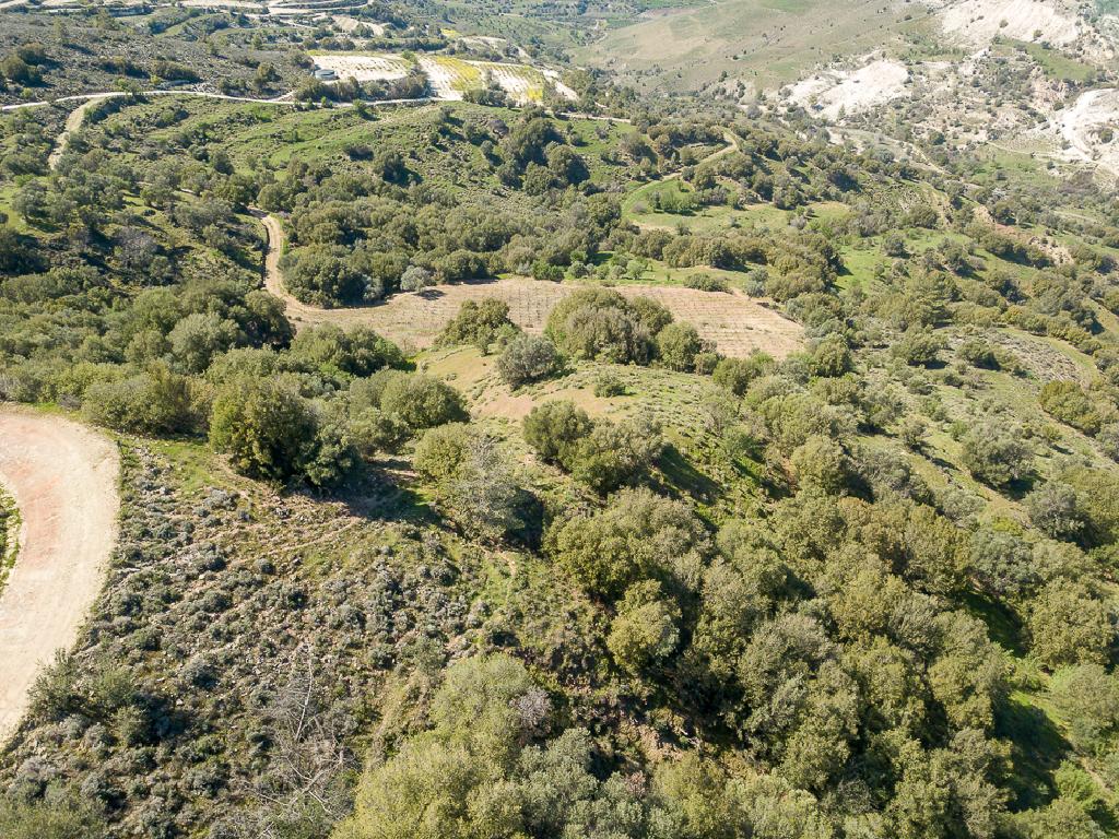 Field-Statos - Agios Fotios-CP10129