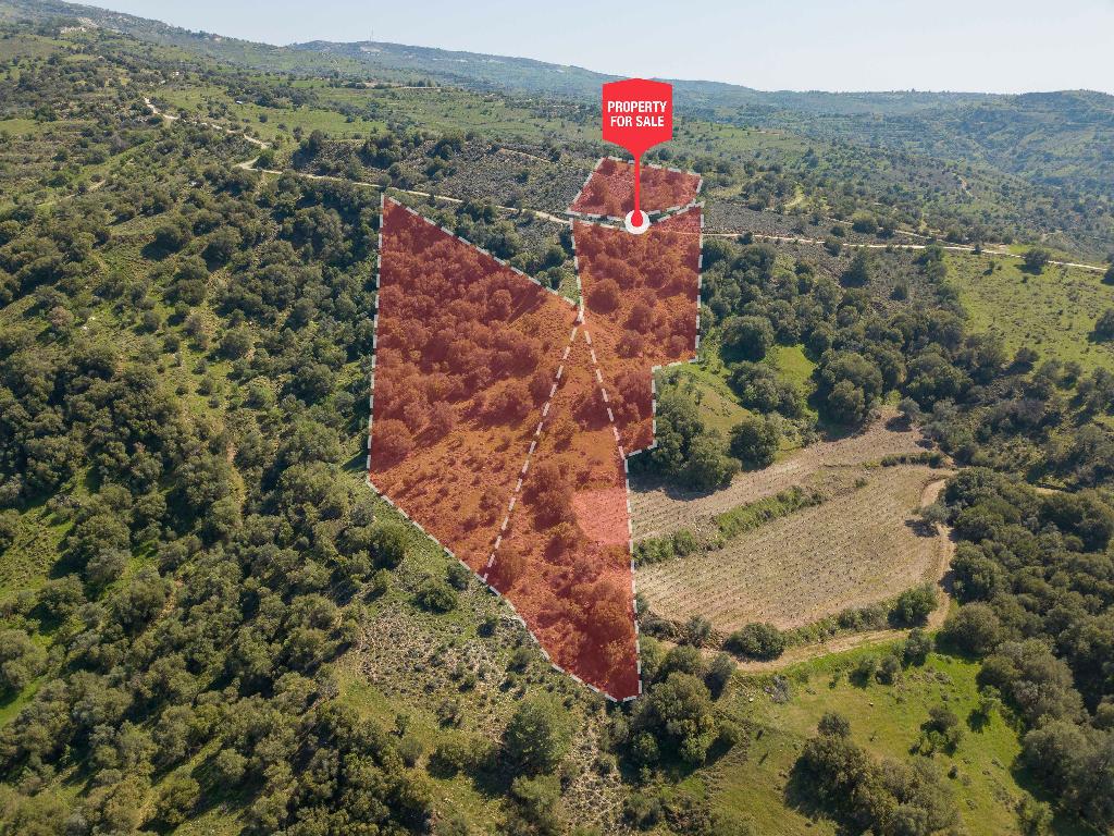 Field-Statos - Agios Fotios-CP10129