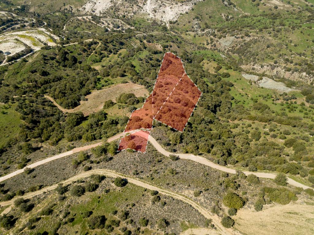 Field-Statos - Agios Fotios-CP10129