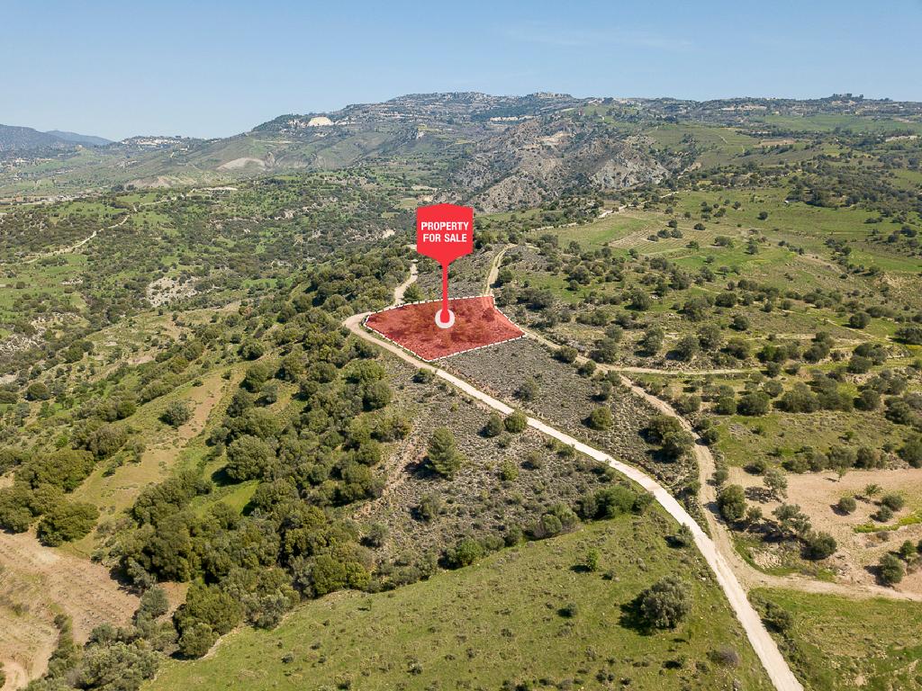 Field-Statos - Agios Fotios-CP10129
