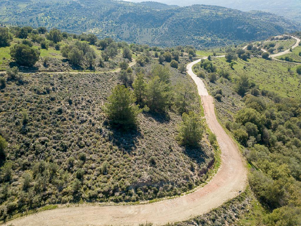 Field-Statos - Agios Fotios-CP10129