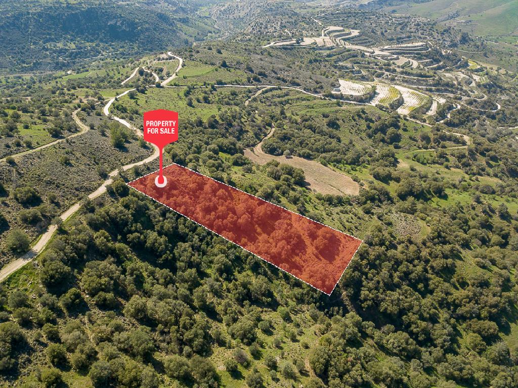 Field-Statos - Agios Fotios-CP10129