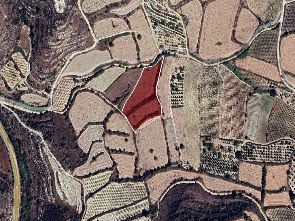 Field-Stroumpi-PR43518