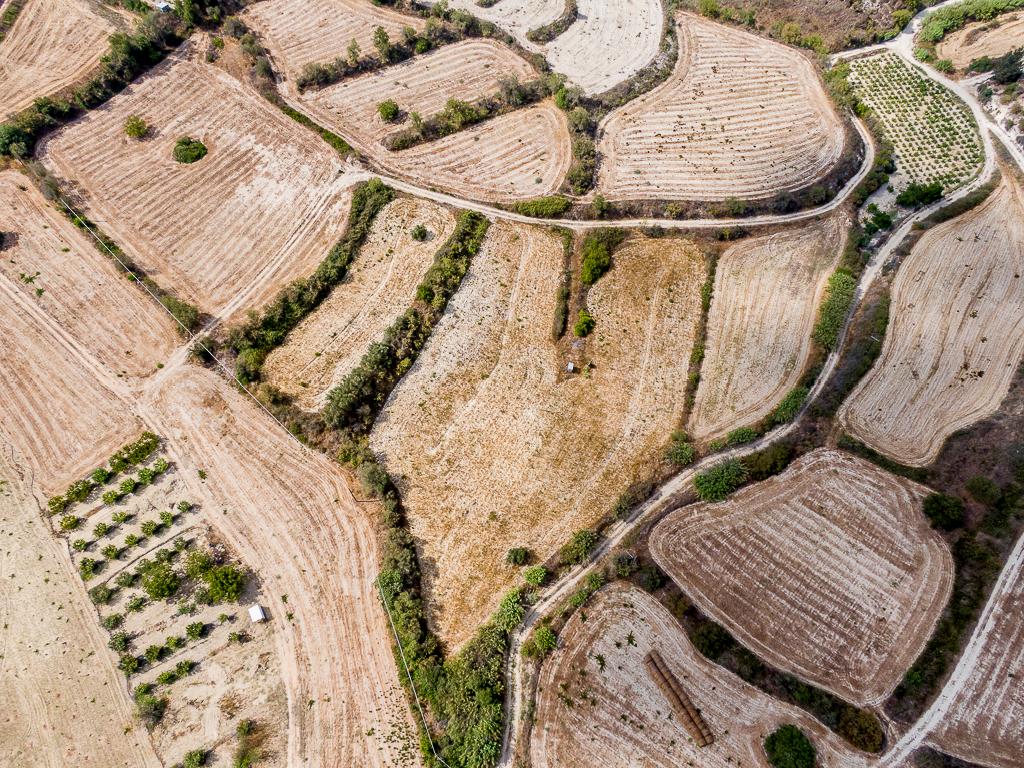 Field-Stroumpi-PR43518