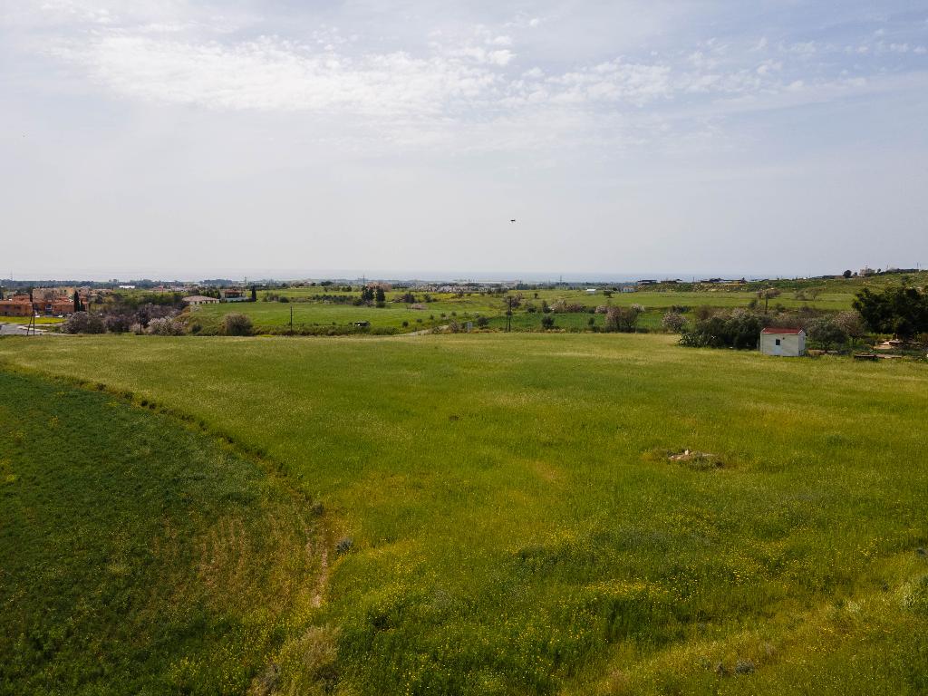 Field-Anarita-PR32313