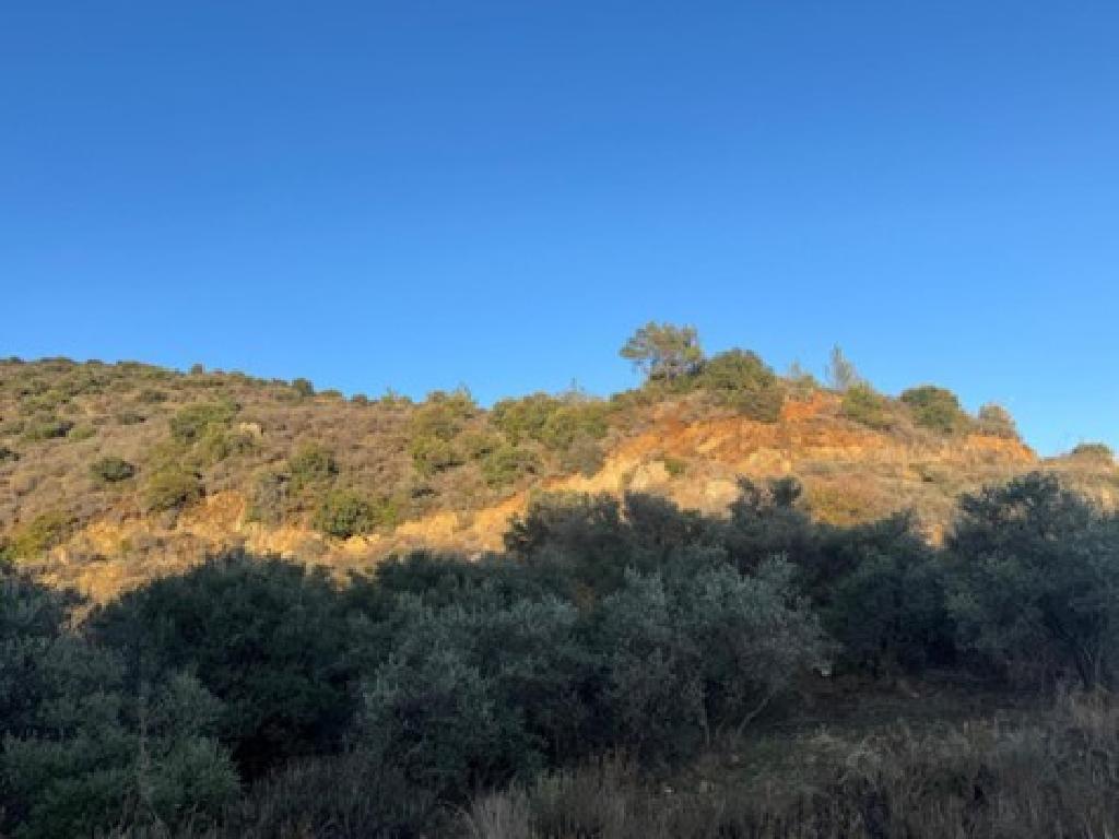 Field - Ora, Larnaca