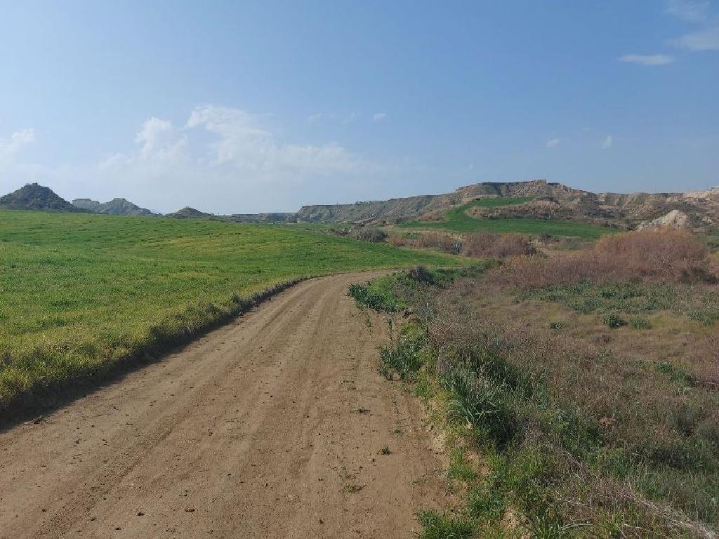 Field - Pera Oreinis, Nicosia