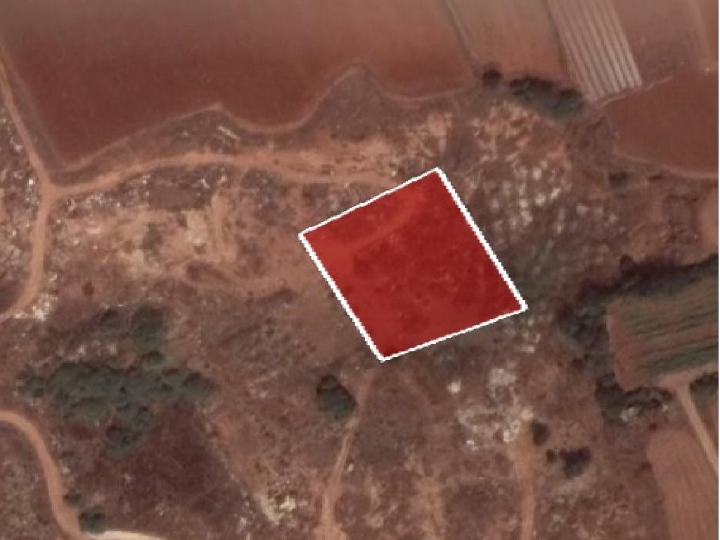 Field-Sotira-PR35242