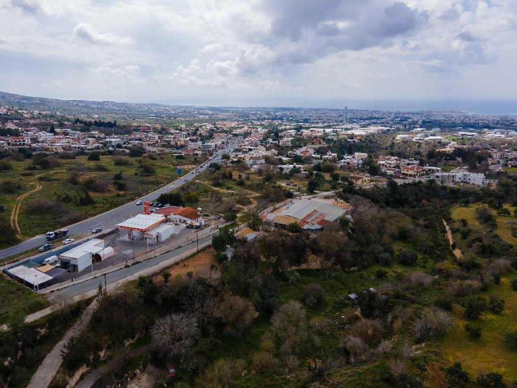 Field-Tremithousa-PR37293