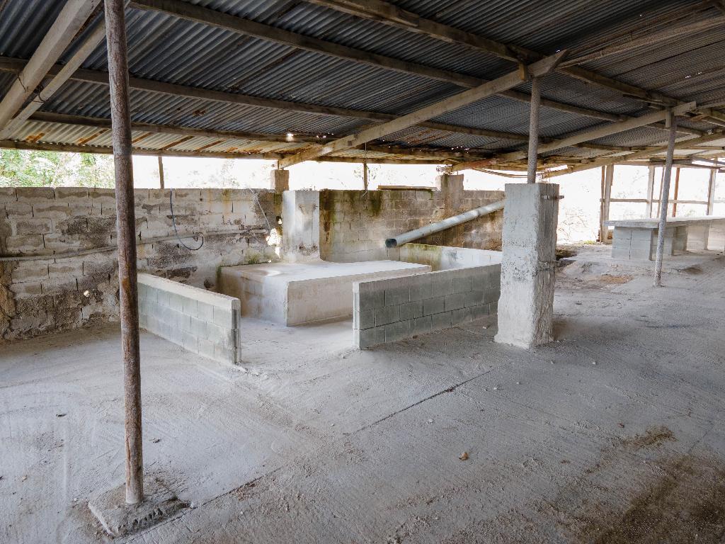 Field-Tremithousa-PR37293