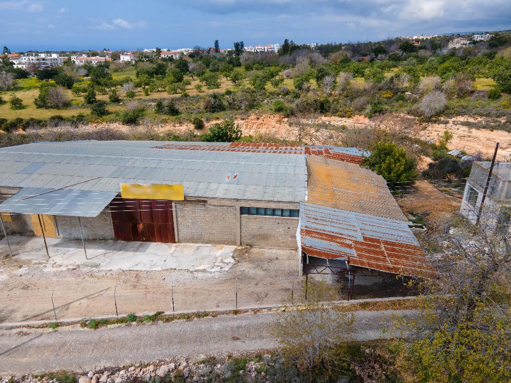 Field-Tremithousa-PR37293