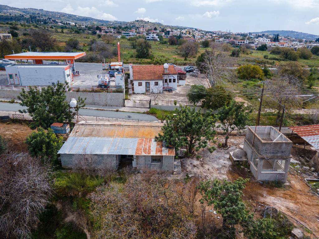 Field-Tremithousa-PR37293