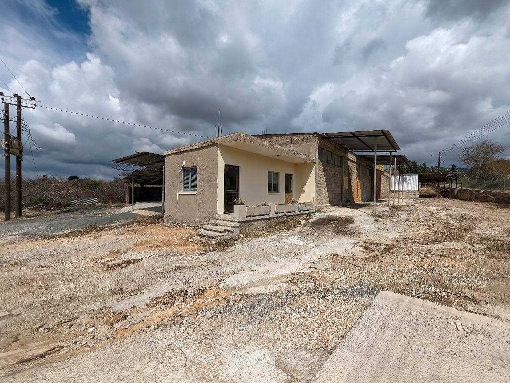Field-Tremithousa-PR37293