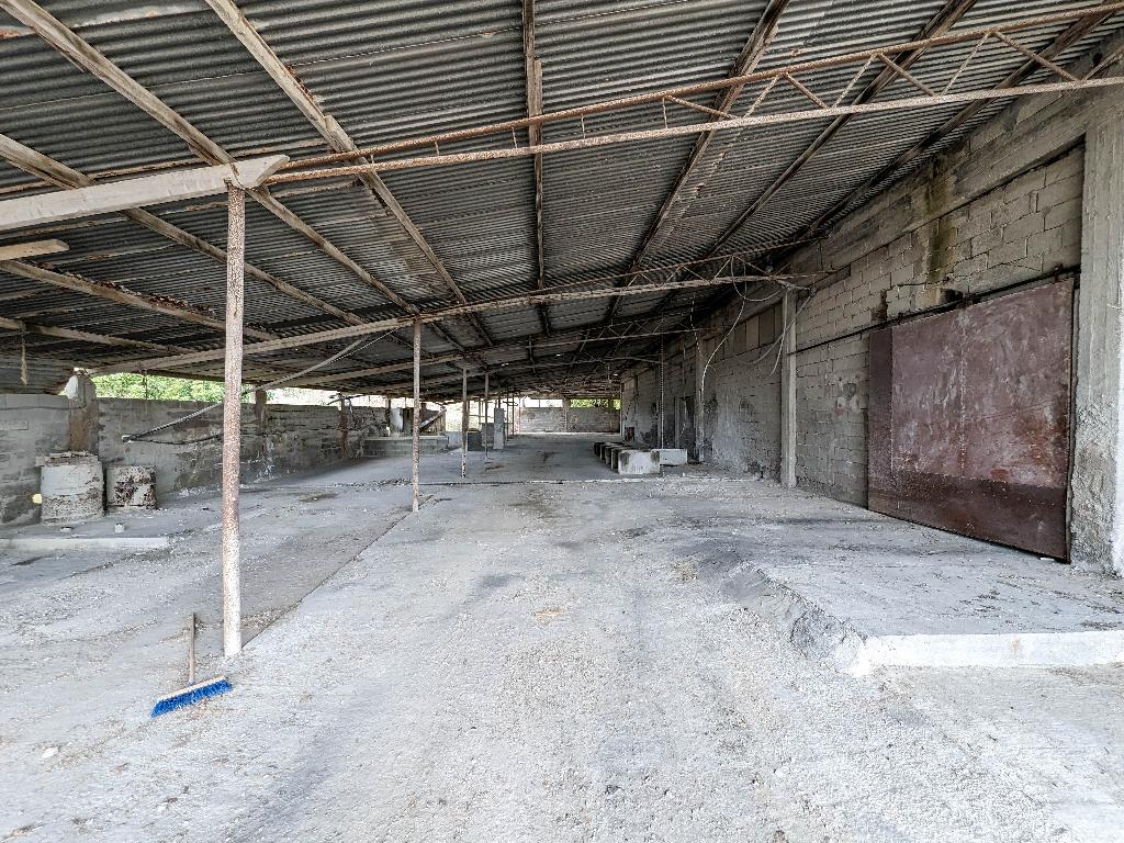 Field-Tremithousa-PR37293