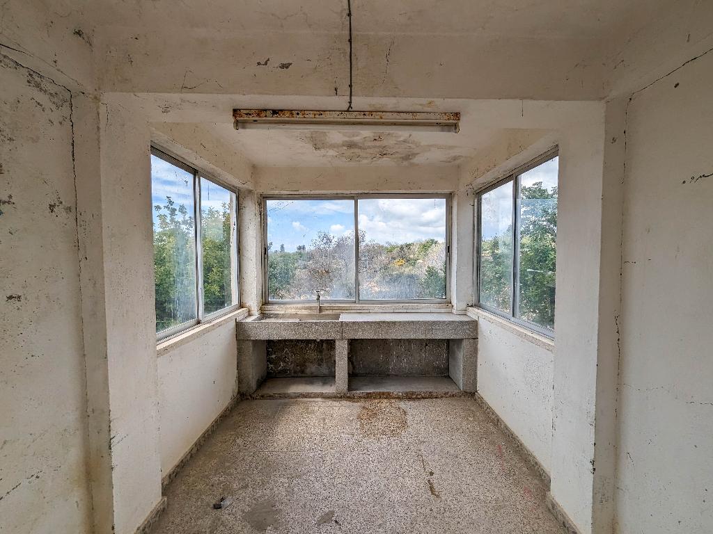 Field-Tremithousa-PR37293