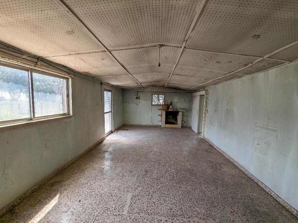 Field-Tremithousa-PR37293