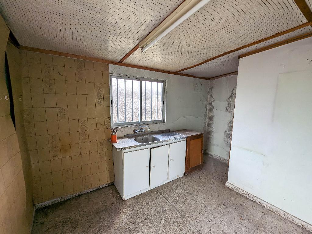 Field-Tremithousa-PR37293