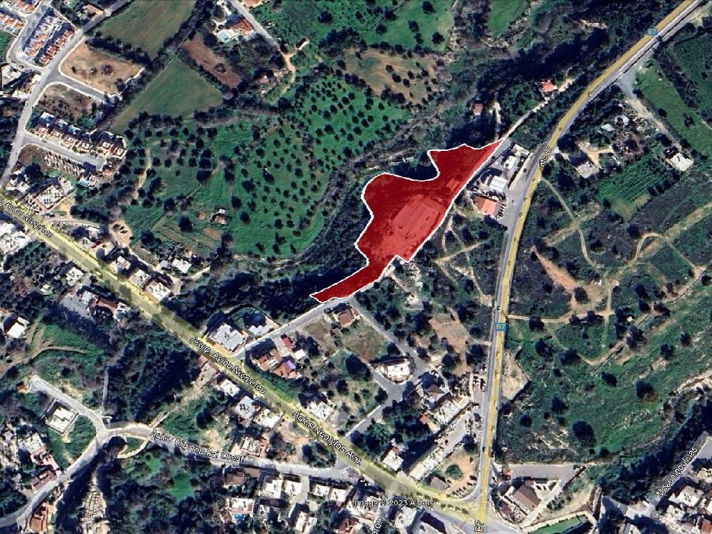 Field-Tremithousa-PR37293
