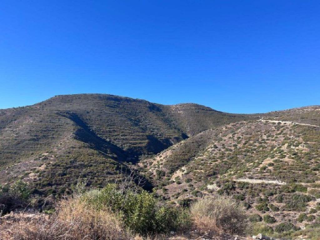 Field (Share) - Akrounta, Limassol