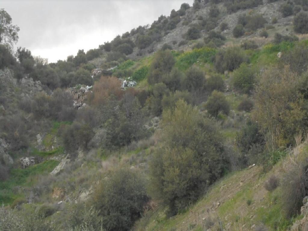Field-Monagroulli-PR38295