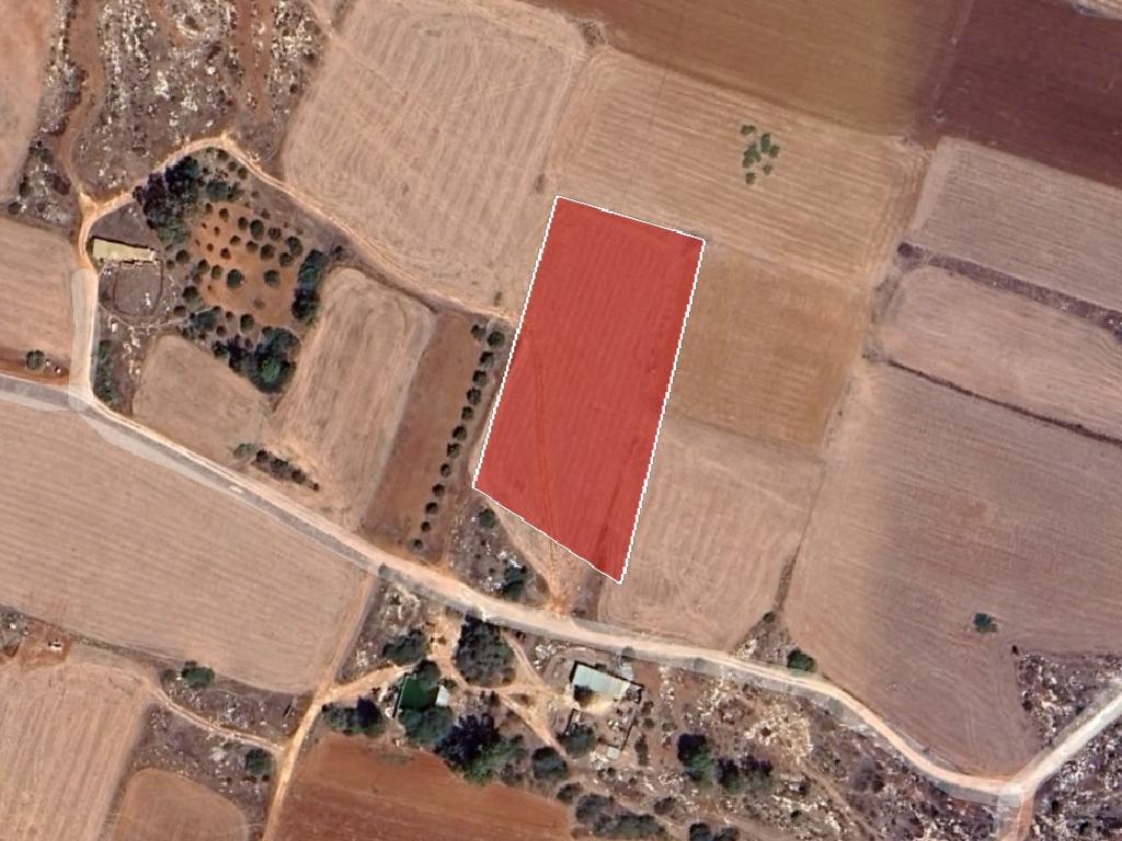 Field - Frenaros, Famagusta