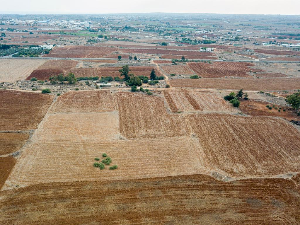 Field - Frenaros, Famagusta