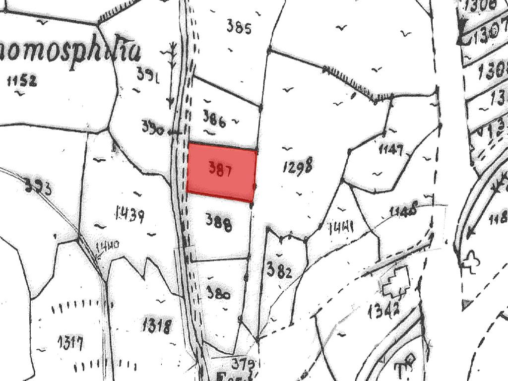 Field-Stroumpi-PR37220