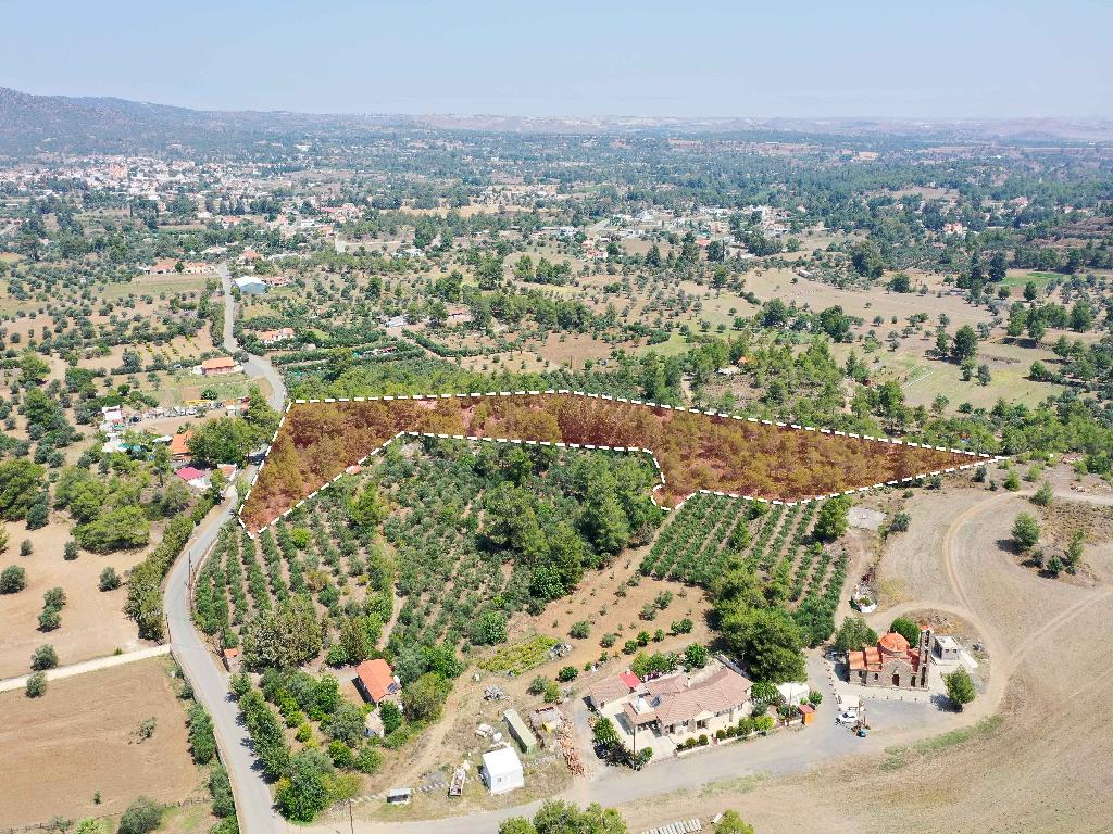 Field - Lythrodontas, Nicosia