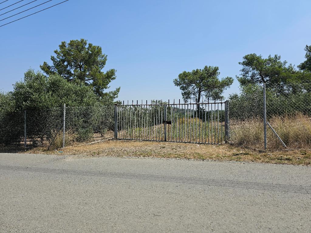Field - Lythrodontas, Nicosia