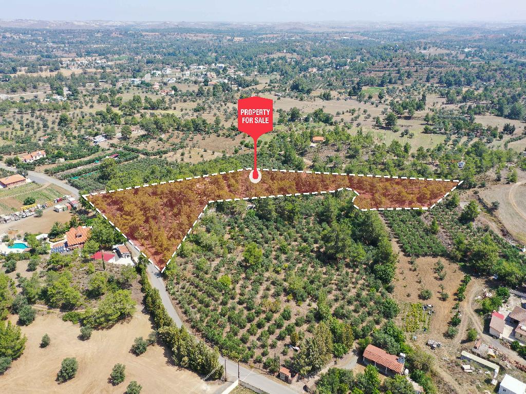 Field - Lythrodontas, Nicosia